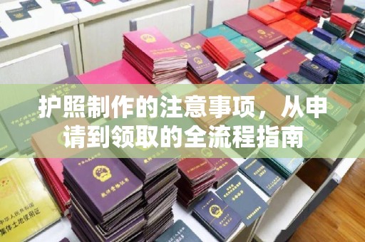 大田护照制作的注意事项，从申请到领取的全流程指南