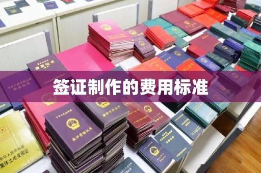 大田签证制作的费用标准