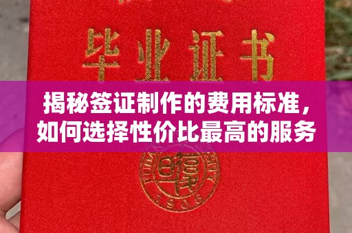 大田揭秘签证制作的费用标准，如何选择性价比最高的服务？