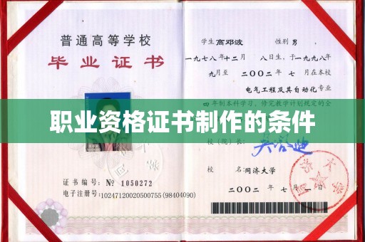 大田职业资格证书制作的条件