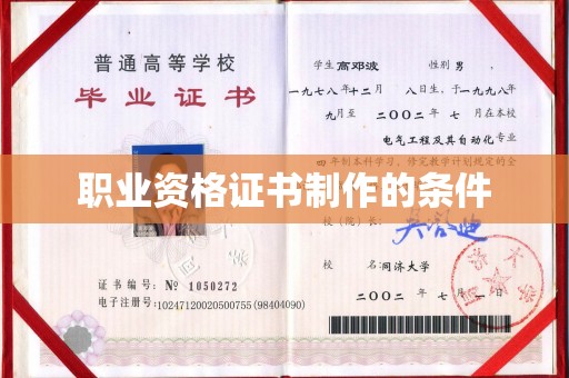 大田职业资格证书制作的条件