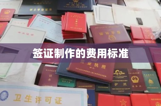 大田签证制作的费用标准