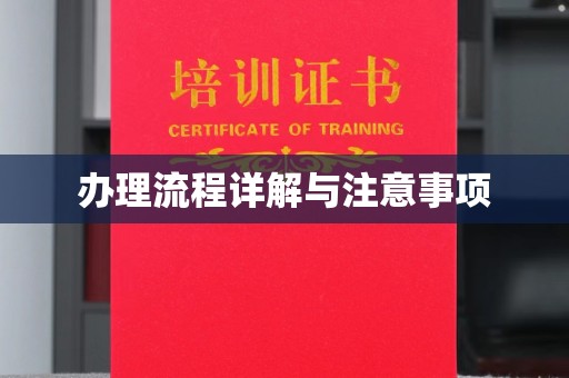 大田办理流程详解与注意事项